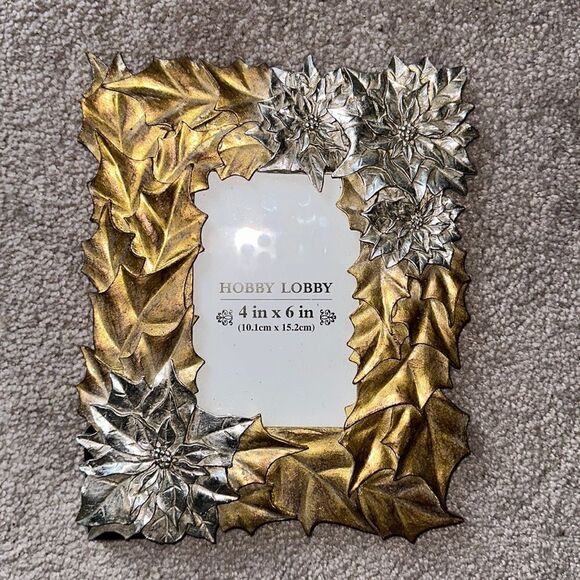 Hobby Lobby Robert Stanley Poinsettia Frame! - Picture 1 of 4
